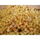 Fregola Sarda Tostata 500 g - Rustichella d'Abruzzo