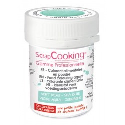 Voedsel Kleuragent Zeegroen 5 g - Scrapcooking Voedsel Kleuragent Zeegroen 5 g - Scrapcooking