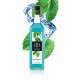 Sirop Menthe Glaciale 1 L - Routin 1883