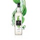 Sirop Mojito 1 L - Routin 1883