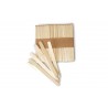 Easy Cream Set 100 Sticks voor Ijsvorm