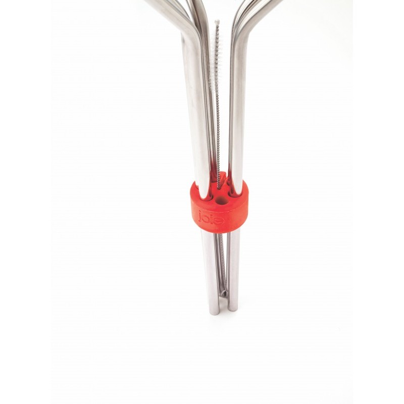 Pailles réutilisables en inox 6 pcs + Goupillon  - Joie