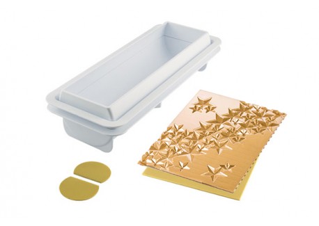 Moule Rigide + Feuille en Silicone 3D Bûche Starlight - Silikomart