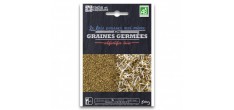 Sachet Graines à Germer Alfalfa Bio 50 g