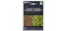 Sachet Graines à Germer Roquette Bio 50 g