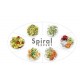 Spiral Expert Spaghetti de Légumes - Magimix