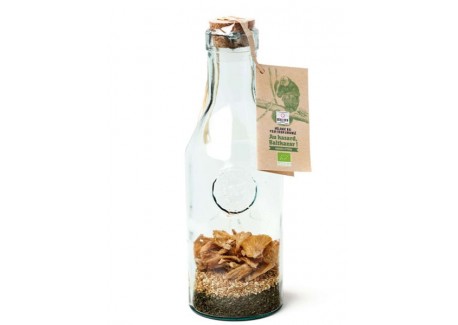 Bouteille Mélange pour Rhum Arrangé Bio Ananas/Citron - Quai Sud