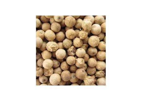 Poivre Blanc Muntok 50 g - Comptoir Africain