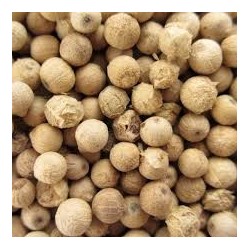 Muntok Witte Peper 50 g - Comptoir Africain Muntok Witte Peper 50 g - Comptoir Africain