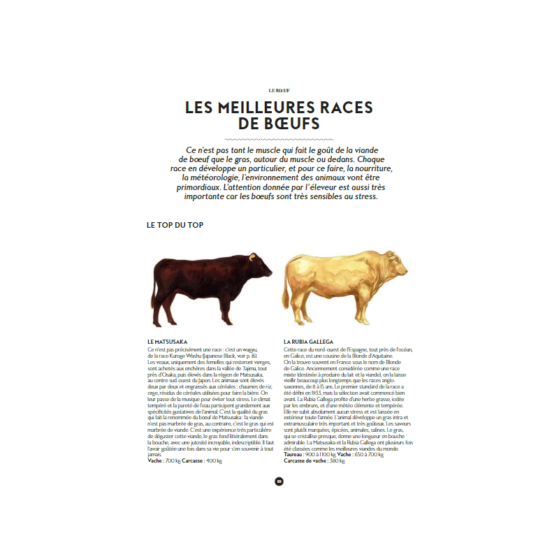 Le Manuel du Garçon Boucher  - Marabout