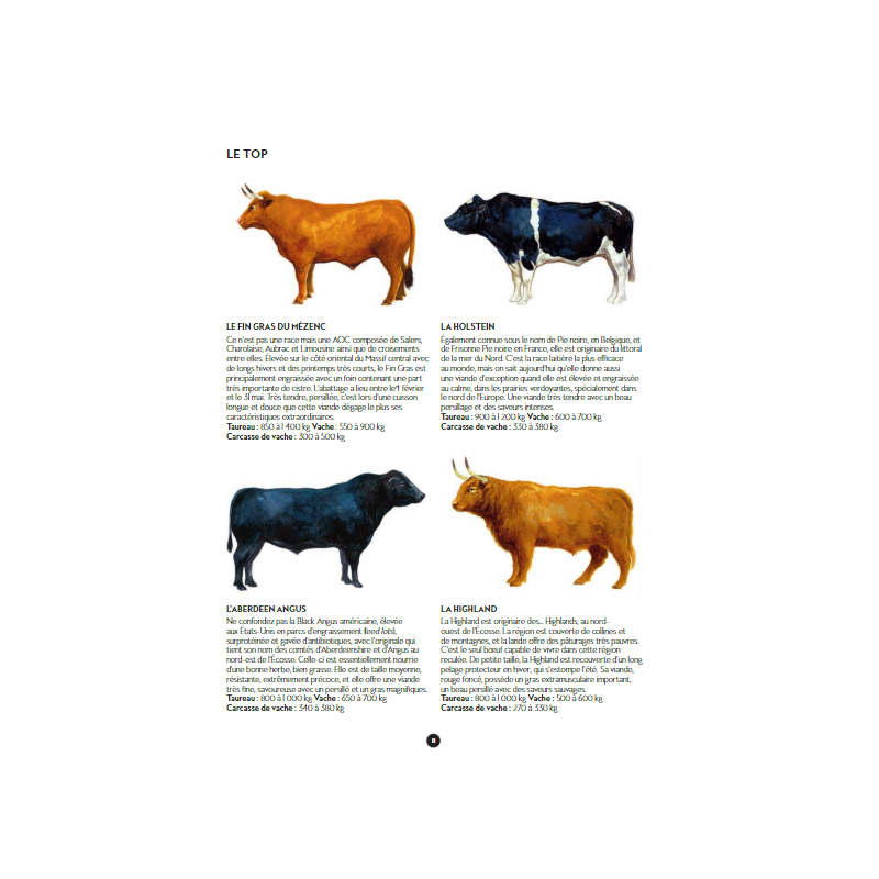 Le Manuel du Garçon Boucher  - Marabout