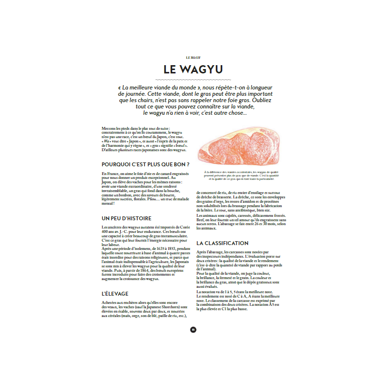 Le Manuel du Garçon Boucher  - Marabout