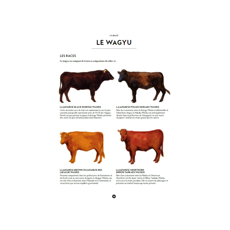 Le Manuel du Garçon Boucher  - Marabout