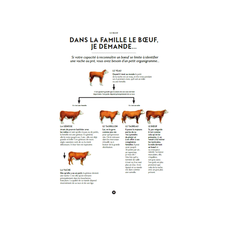 Le Manuel du Garçon Boucher  - Marabout