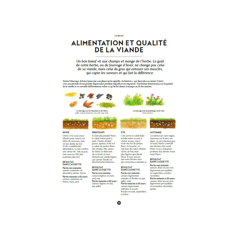 Le Manuel du Garçon Boucher  - Marabout