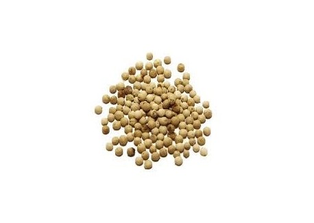 Sarawak Witte Peper 50 g - Comptoir Africain
