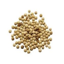 Sarawak Witte Peper 50 g - Comptoir Africain Sarawak Witte Peper 50 g - Comptoir Africain