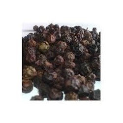Zwarte Lampong Peper 50 g - Comptoir Africain Zwarte Lampong Peper 50 g - Comptoir Africain