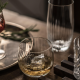 Fortune Whiskyglas 60 - Zwiesel Glas