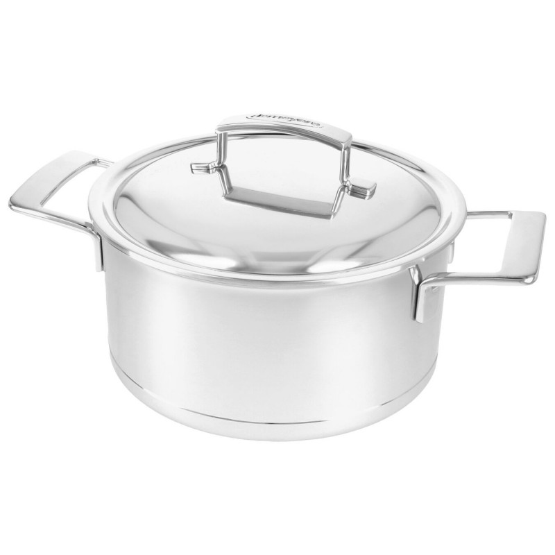 Krankzinnigheid Geval analoog Demeyere - Silver 7 Kookpot RVS 22 cm 4 L met deksel - Les Secrets du Chef