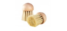 Brosse à Champignons en Bois