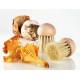 Brosse à Champignons en Bois - Le Tellier