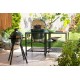 Portable Nest Barbecue Minimax - Big Green Egg