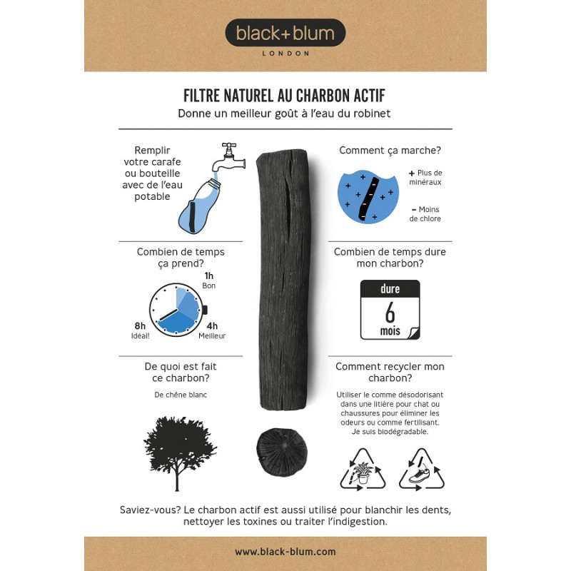 EAU CARAFE 1L + 2 recharges de charbon filtrant Binchotan - Black+Blum –  Maison Fertile