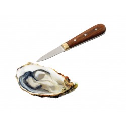 TEN - Oyster Set XL - 2x couteau à huîtres avec gant en acier inoxydable +  2x Gants en