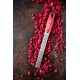 Premium Classic Râpe Zesteur Rouge Grenade - Microplane