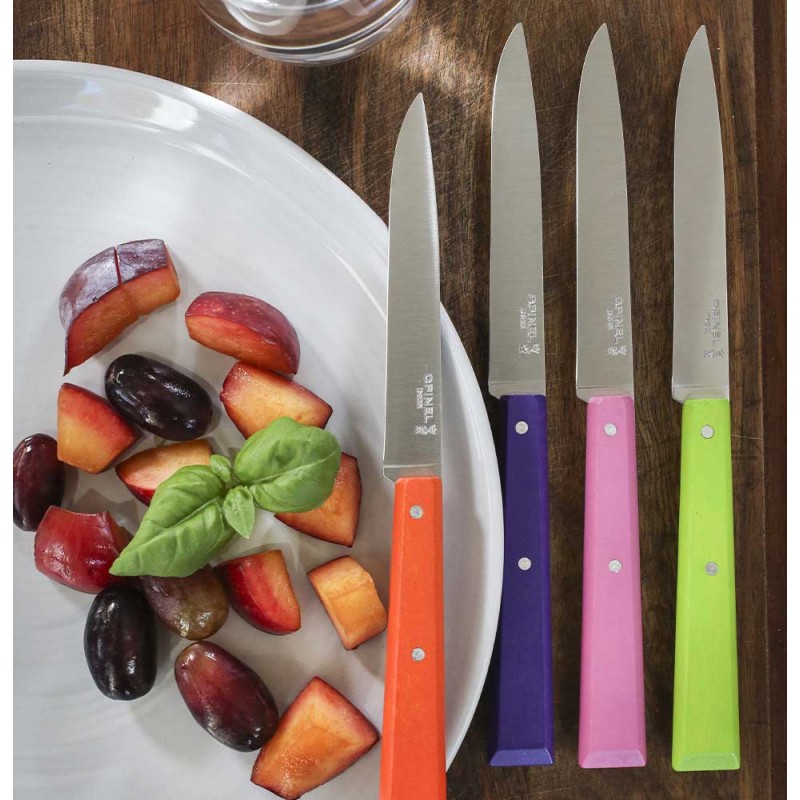 Opinel - Coffret Couteau de Table Bon Appétit Pop - Les Secrets du Chef