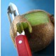 Eplucheur Microdenté à Tomates et Peaux Fines - Opinel