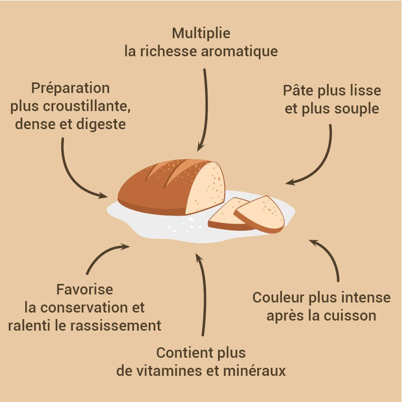 Acier Inoxydable Farine Pâte Coupe Pâte Lait Sucre Coupe - Temu France