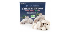 Kit de Culture de Champignons de Paris Bio