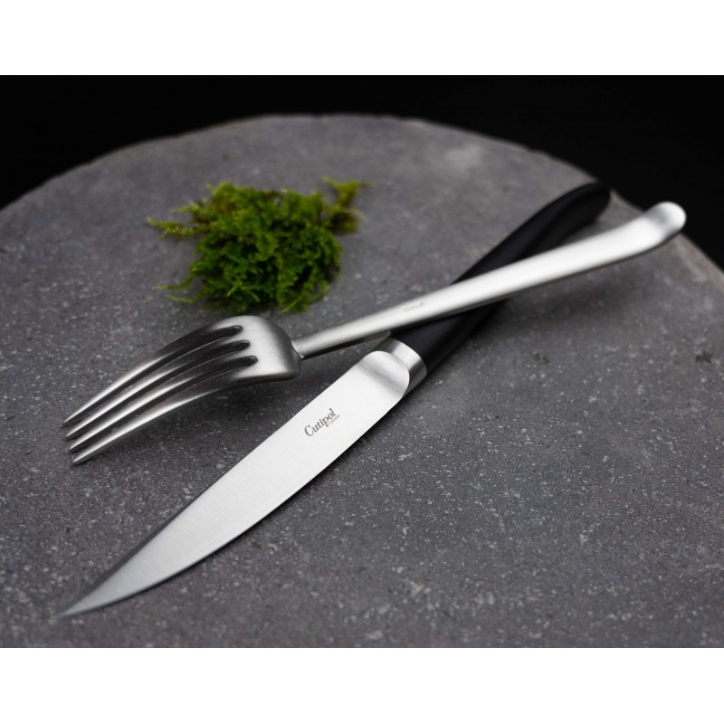 Cutipol - Rib Couteaux à Steak Brossé Manche Noir 2 pces + Coffret - Les  Secrets du Chef