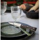 Coffret Couteaux de Table "Facette" Frêne Sombre 4 pcs - Opinel