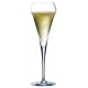 Open Up Effervescent Champagneglas 6 pcs - Chef  & Sommelier