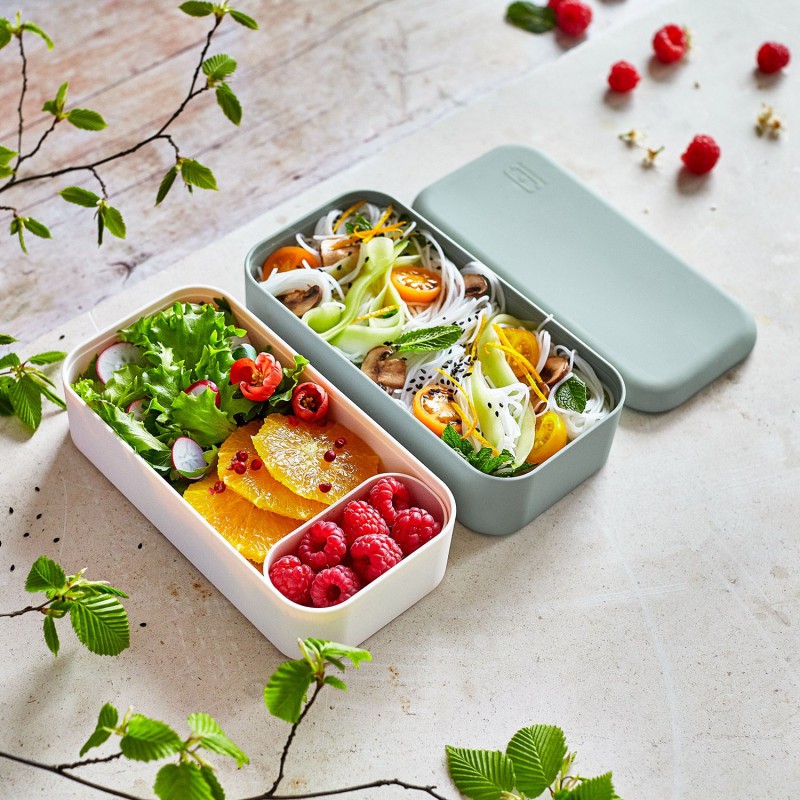 Acheter Bento Lunch Box Inox sans BPA argent - MonBento