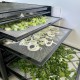 Déshydrateur Alimentaire 9 Plateaux avec Minuterie - Excalibur