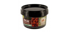 Hazelnootpraliné 200 g