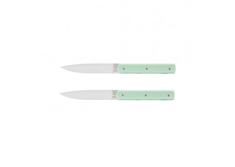 9.47 Coffret Couteaux de Table Vert Pistache 2 pcs - Perceval