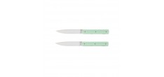 9.47 Coffret Couteaux de Table Vert Pistache 2 pcs 