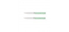 9.47 Coffret Couteaux de Table Vert Pistache 2 pcs
