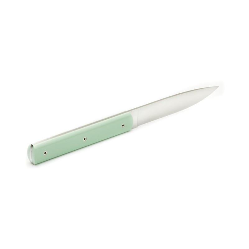 9.47 Coffret Couteaux de Table Vert Pistache 2 pcs - Perceval