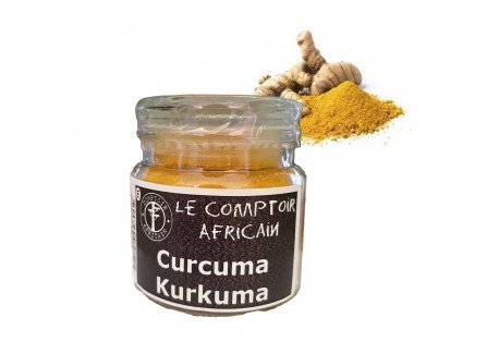 Kurkuma 50 g - Comptoir Africain