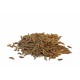Carvi 45 g - Comptoir Africain