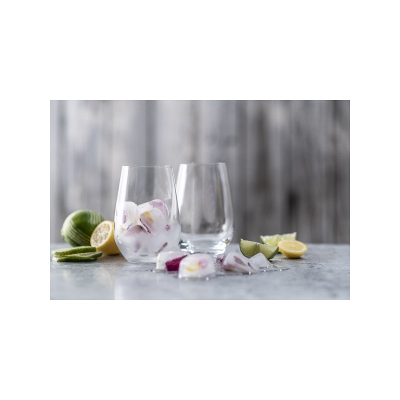 Forté (Vina) Gobelet à Eau 79 56 cl (4 pcs) - Schott Zwiesel