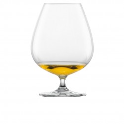 Bar Speciaalglas Cognac XXL 45
