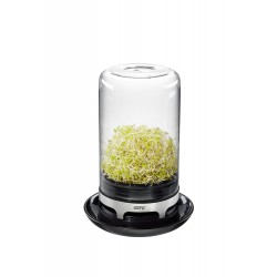 Bivita Kiempot - Gefu Bivita Kiempot - Gefu