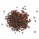 Voatsy Perifery Wilde Rooepepper 50 g - Comptoir Africain